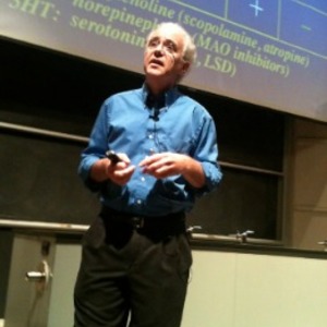 Stickgold Lecture 2012 1